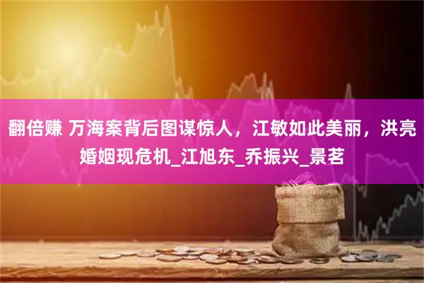 翻倍赚 万海案背后图谋惊人，江敏如此美丽，洪亮婚姻现危机_江旭东_乔振兴_景茗