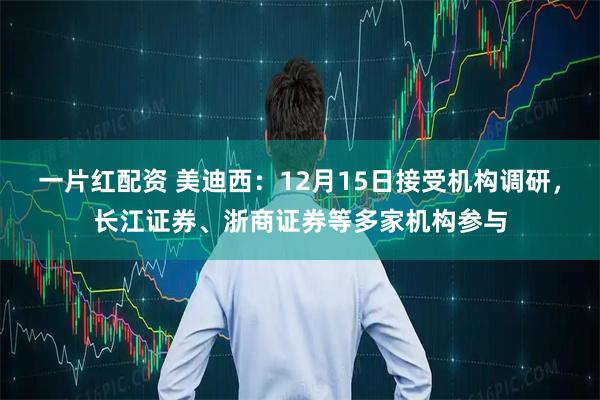 一片红配资 美迪西：12月15日接受机构调研，长江证券、浙商证券等多家机构参与